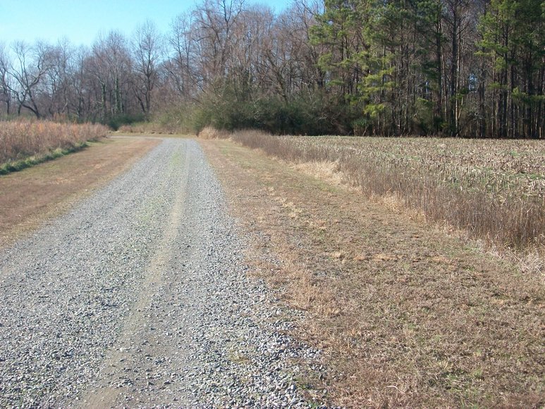 Image for REAL ESTATE AUCTION: 4 Waterfront Tracts (Callao, VA)