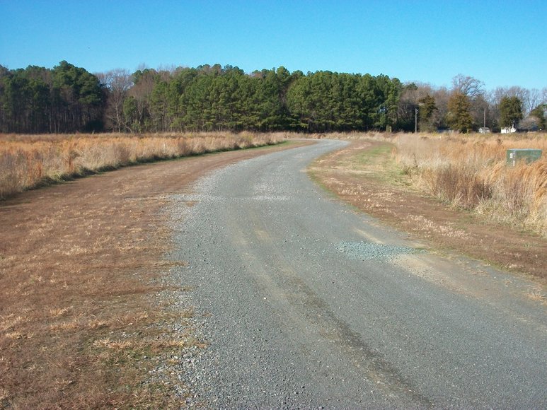 Image for REAL ESTATE AUCTION: 4 Waterfront Tracts (Callao, VA)