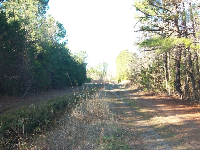 Image for REAL ESTATE AUCTION: 4 Waterfront Tracts (Callao, VA)