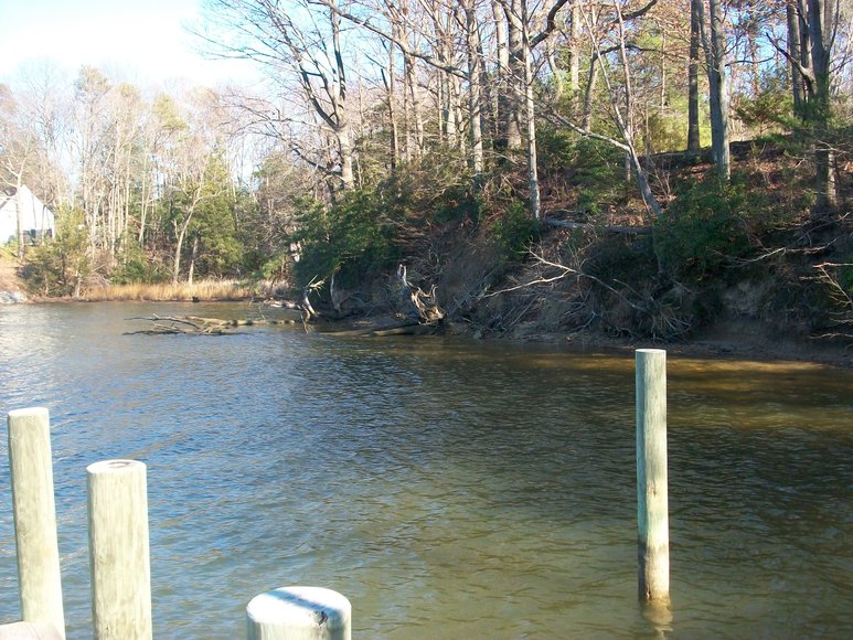 Image for REAL ESTATE AUCTION: 4 Waterfront Tracts (Callao, VA)