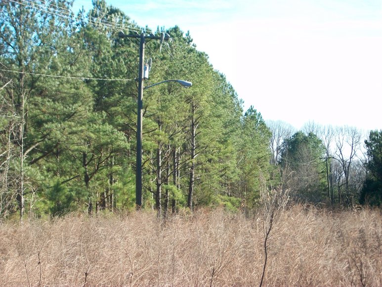 REAL ESTATE AUCTION 4 Waterfront Tracts (Callao, VA)