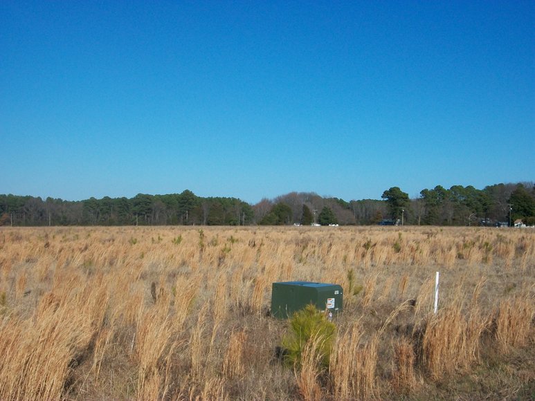 REAL ESTATE AUCTION 4 Waterfront Tracts (Callao, VA)