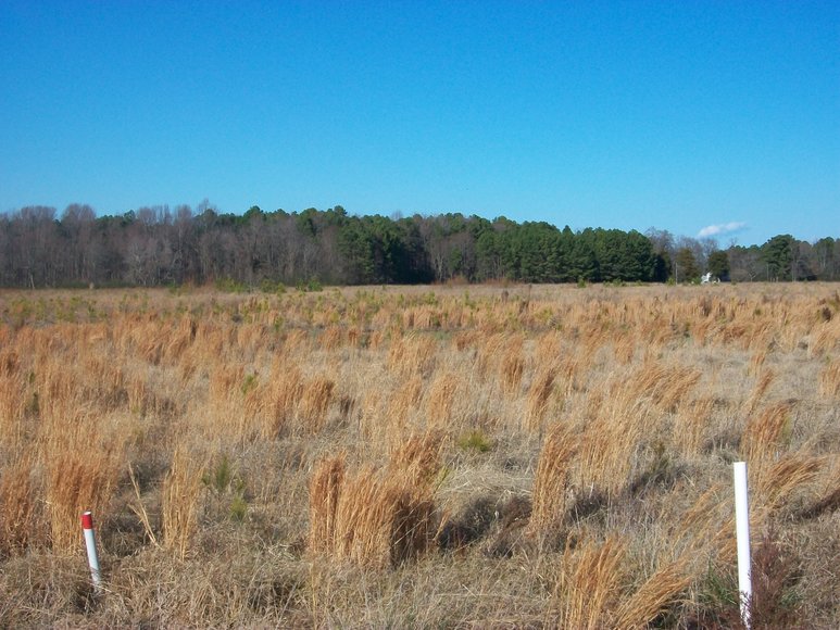 Image for REAL ESTATE AUCTION: 4 Waterfront Tracts (Callao, VA)