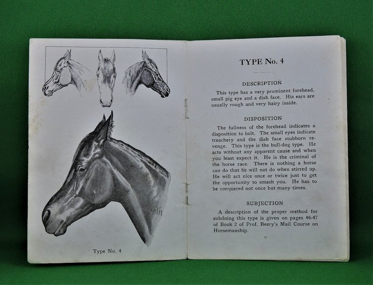 Image for Prof. Beery's Mail Courses in Horsemanship