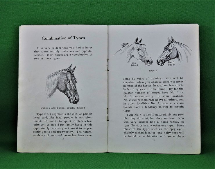 Image for Prof. Beery's Mail Courses in Horsemanship