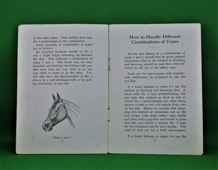 Image for Prof. Beery's Mail Courses in Horsemanship