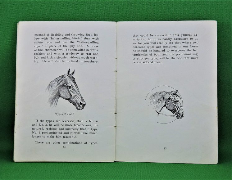 Image for Prof. Beery's Mail Courses in Horsemanship