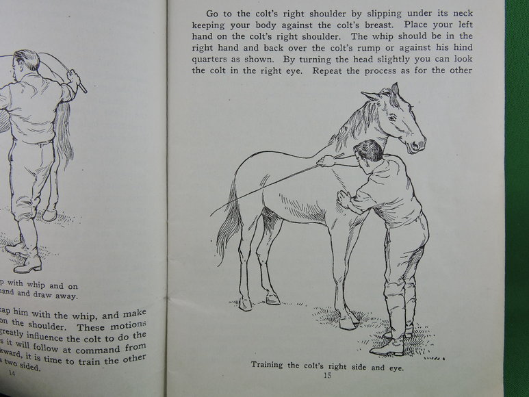 Image for Prof. Beery's Mail Courses in Horsemanship