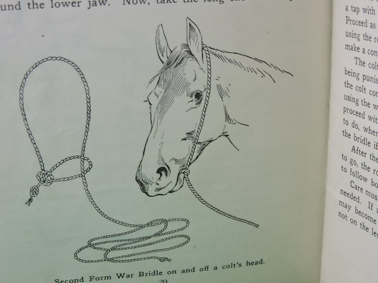 Image for Prof. Beery's Mail Courses in Horsemanship