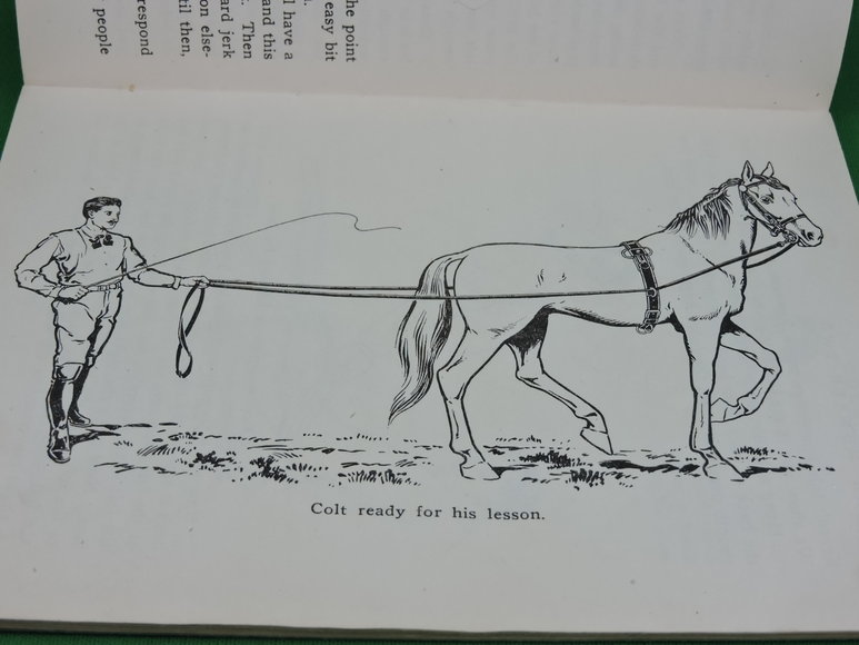 Image for Prof. Beery's Mail Courses in Horsemanship