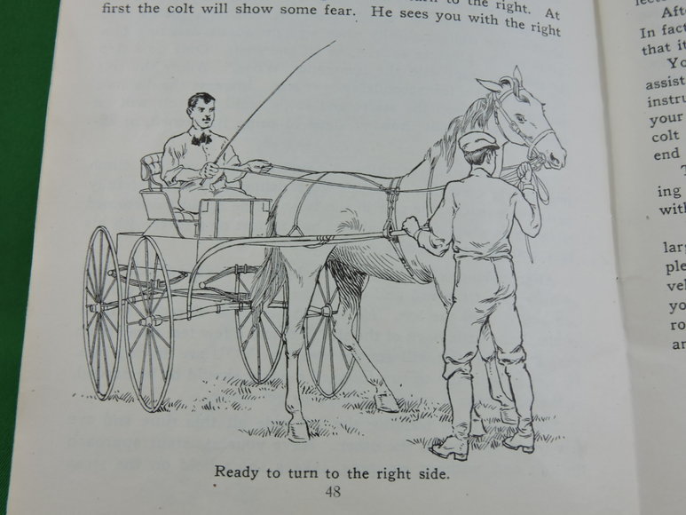Image for Prof. Beery's Mail Courses in Horsemanship