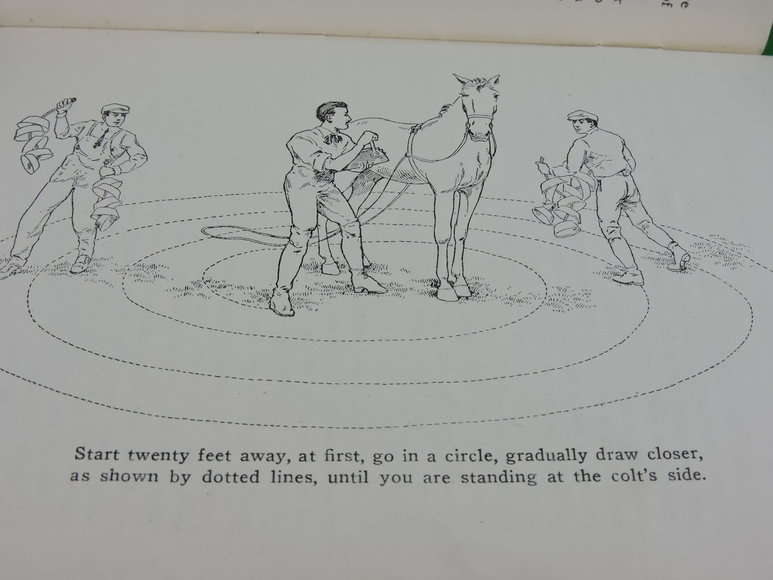 Image for Prof. Beery's Mail Courses in Horsemanship