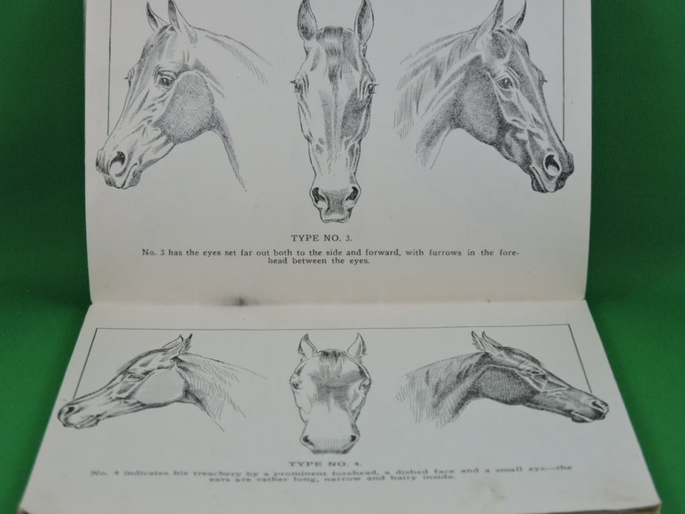 Image for Prof. Beery's Mail Courses in Horsemanship