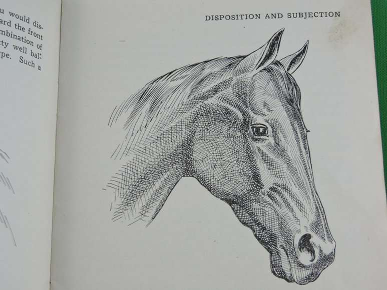 Image for Prof. Beery's Mail Courses in Horsemanship