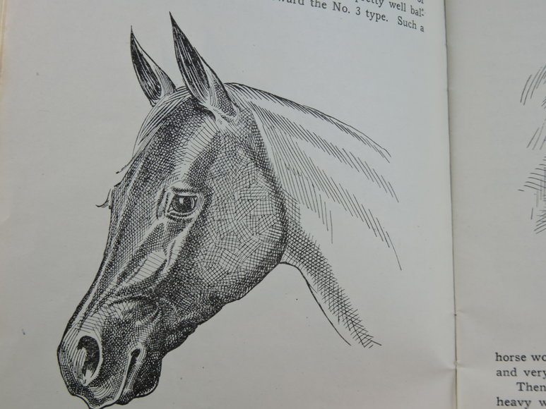 Image for Prof. Beery's Mail Courses in Horsemanship