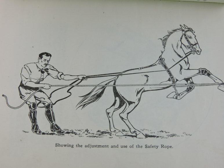 Image for Prof. Beery's Mail Courses in Horsemanship