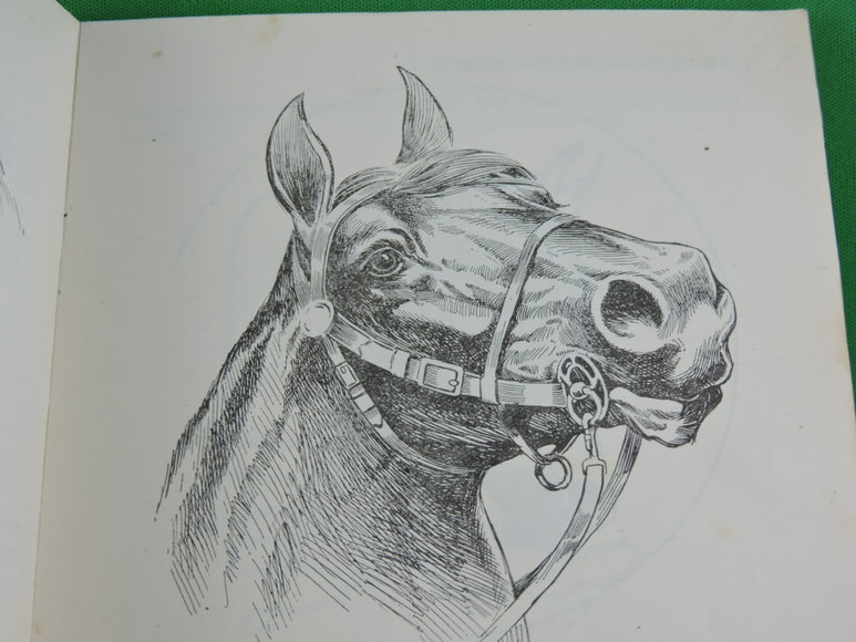Image for Prof. Beery's Mail Courses in Horsemanship