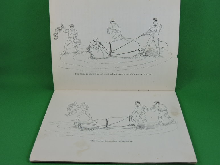 Image for Prof. Beery's Mail Courses in Horsemanship