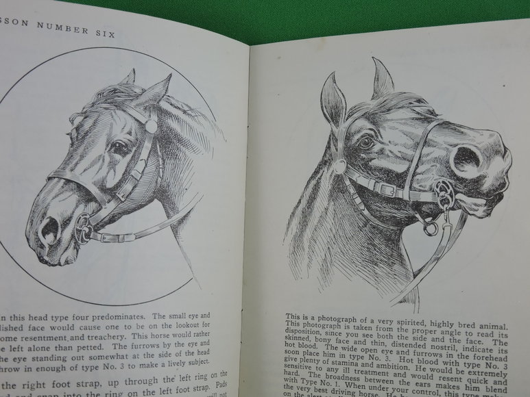 Image for Prof. Beery's Mail Courses in Horsemanship