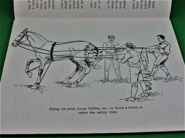 Image for Prof. Beery's Mail Courses in Horsemanship