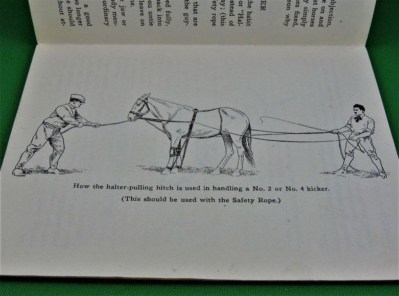 Image for Prof. Beery's Mail Courses in Horsemanship