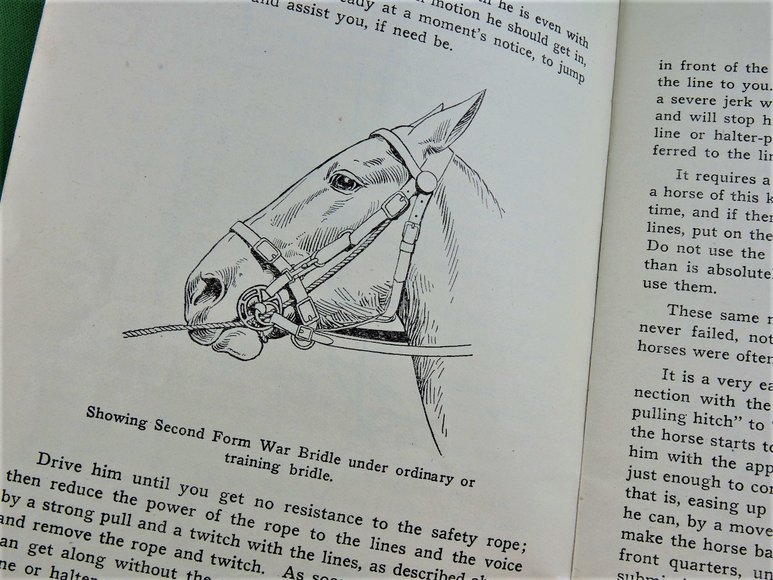 Image for Prof. Beery's Mail Courses in Horsemanship