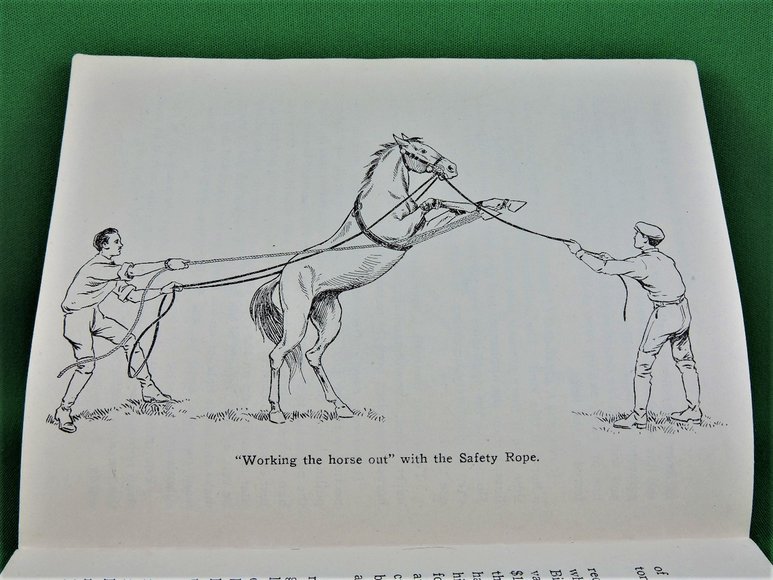 Image for Prof. Beery's Mail Courses in Horsemanship