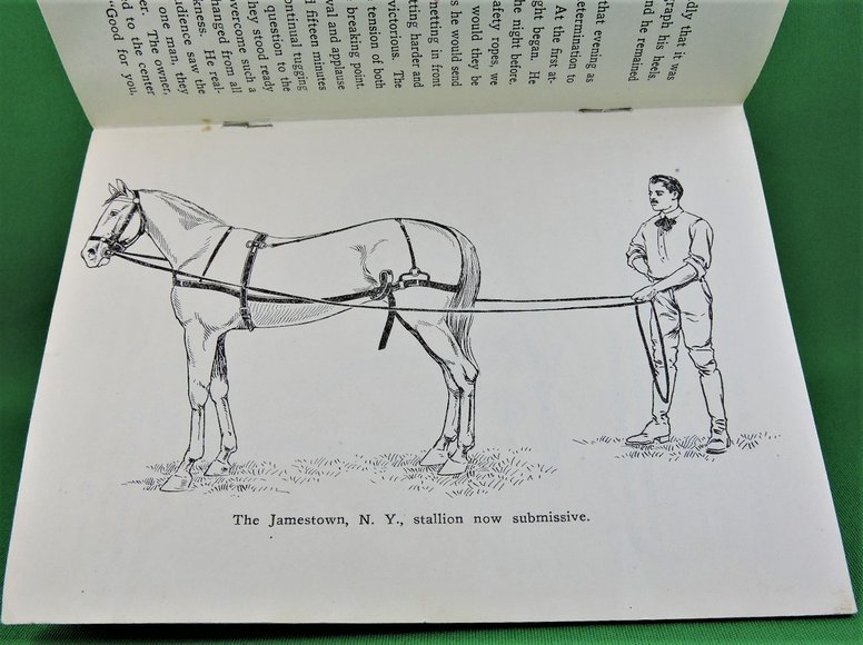 Image for Prof. Beery's Mail Courses in Horsemanship