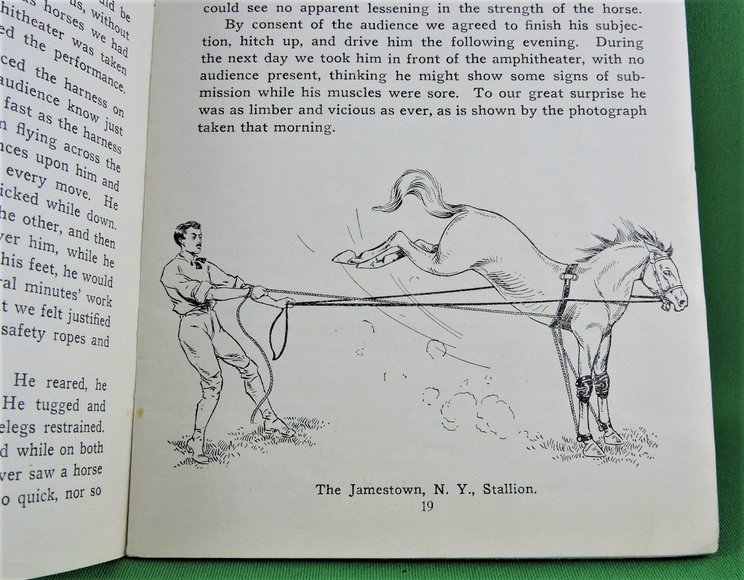 Image for Prof. Beery's Mail Courses in Horsemanship