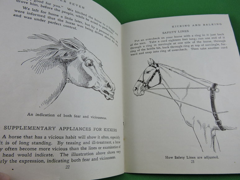 Image for Prof. Beery's Mail Courses in Horsemanship