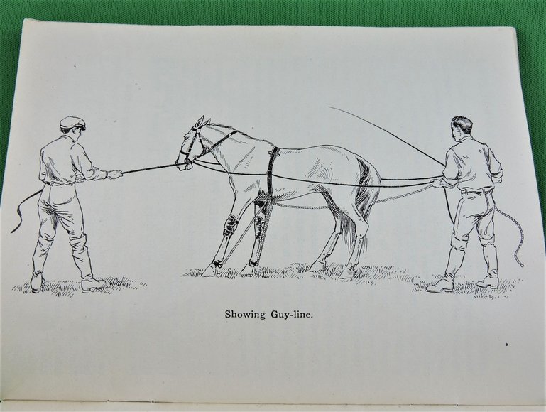 Image for Prof. Beery's Mail Courses in Horsemanship