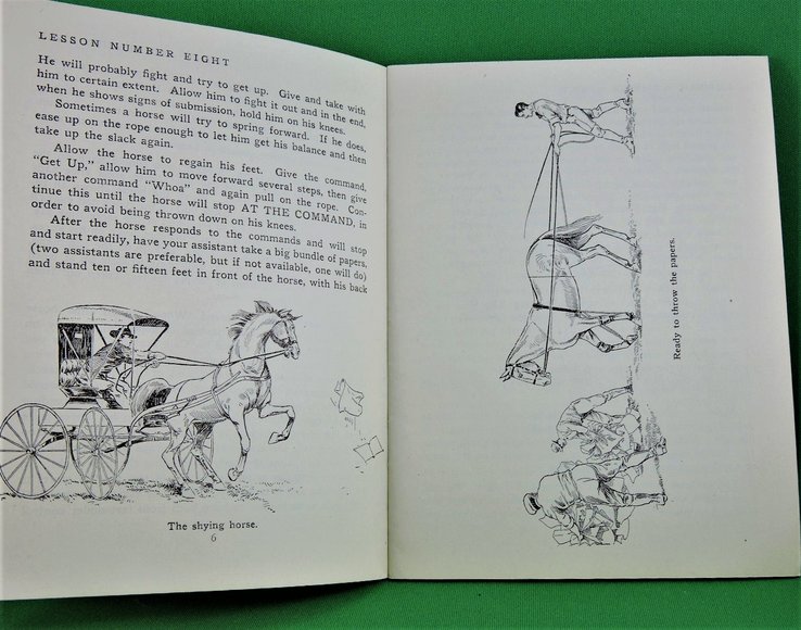 Image for Prof. Beery's Mail Courses in Horsemanship