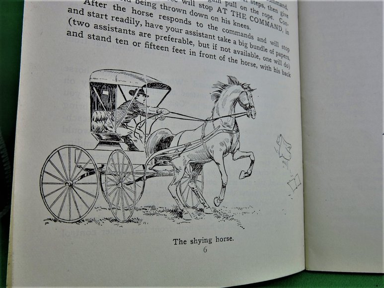 Image for Prof. Beery's Mail Courses in Horsemanship