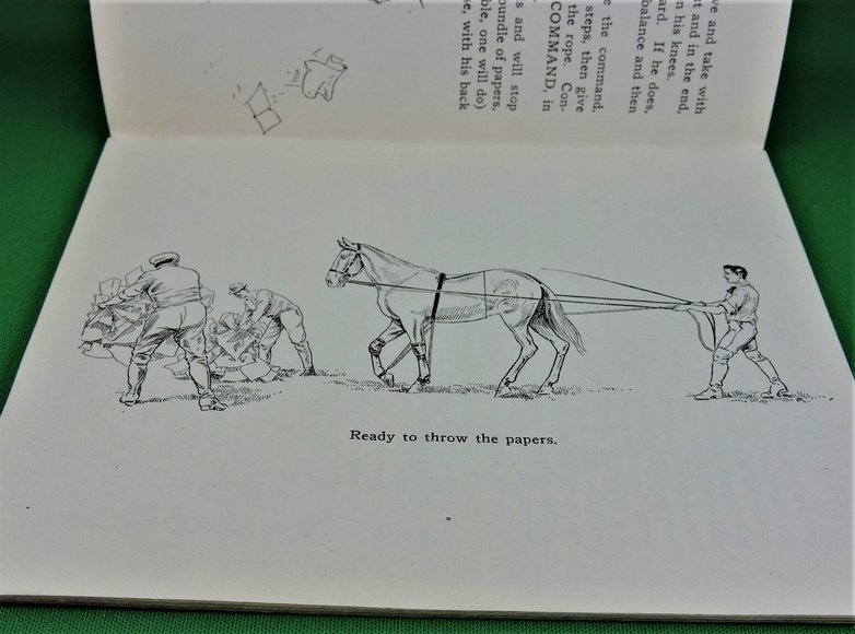 Image for Prof. Beery's Mail Courses in Horsemanship