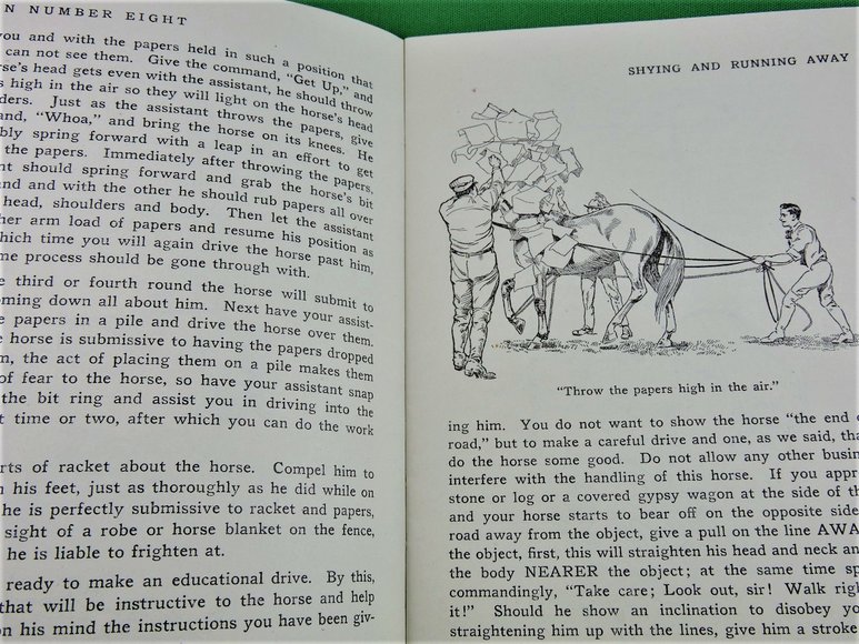 Image for Prof. Beery's Mail Courses in Horsemanship