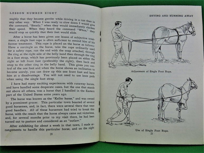 Image for Prof. Beery's Mail Courses in Horsemanship