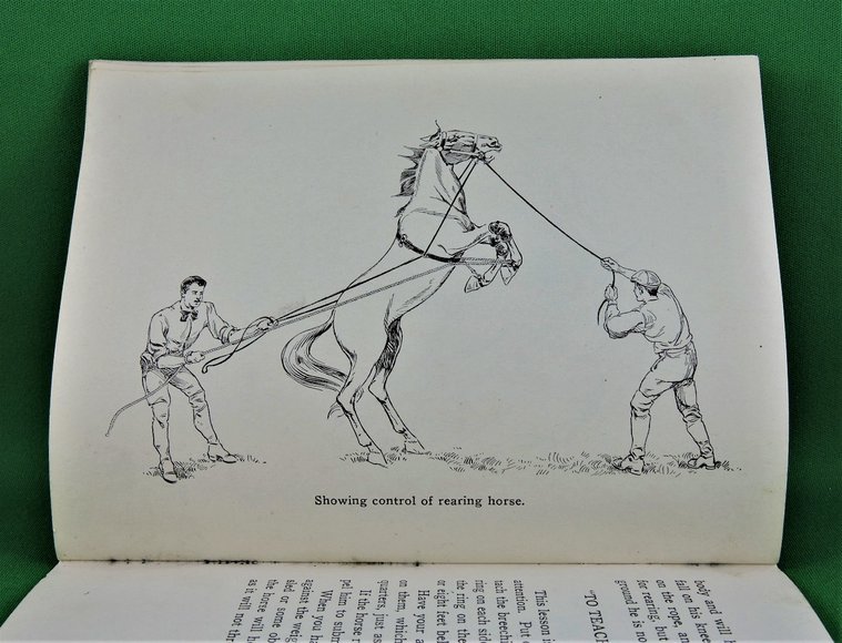 Image for Prof. Beery's Mail Courses in Horsemanship