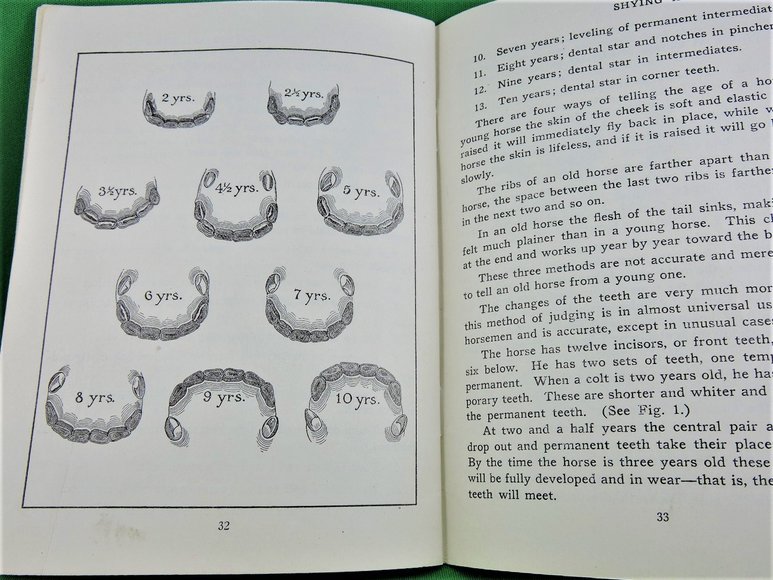 Image for Prof. Beery's Mail Courses in Horsemanship