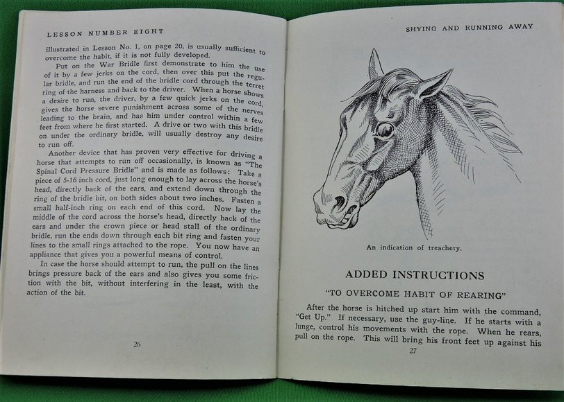 Image for Prof. Beery's Mail Courses in Horsemanship