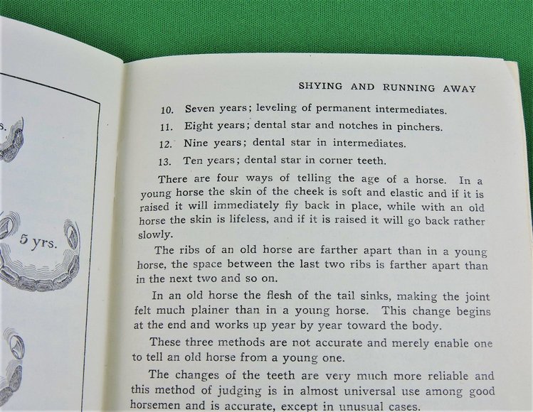 Image for Prof. Beery's Mail Courses in Horsemanship