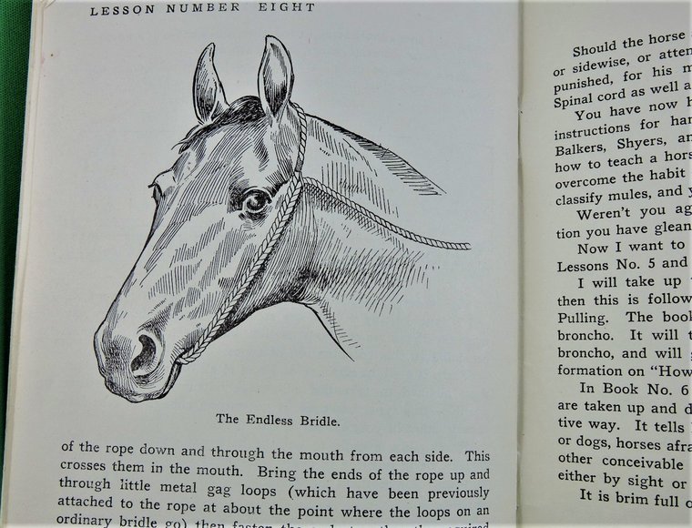 Image for Prof. Beery's Mail Courses in Horsemanship