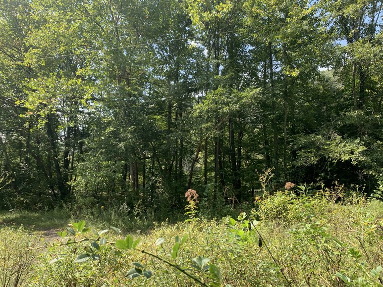 Image for Acreage, Heavy Equipment, Vehicles & more