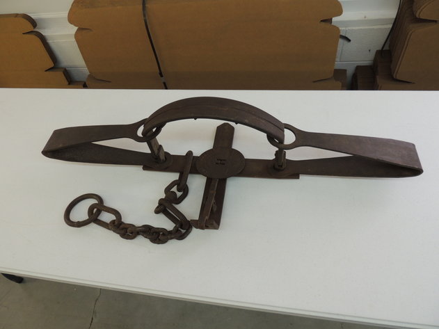 Image for Winchester Collectibles & Firearm Accessories!