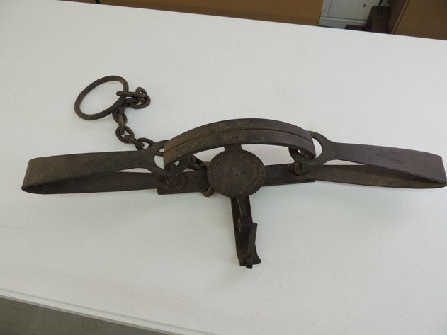 Image for Winchester Collectibles & Firearm Accessories!