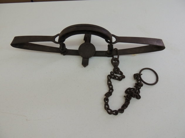 Image for Winchester Collectibles & Firearm Accessories!