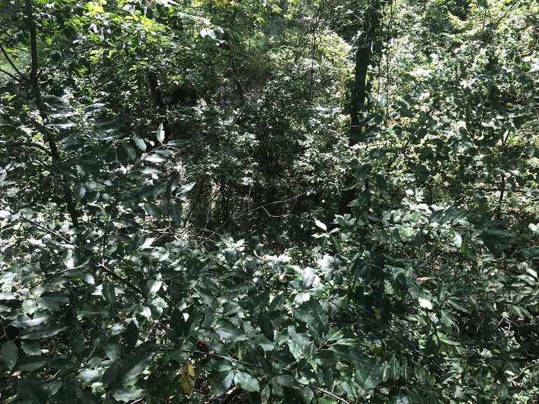 Image for SOLD PRIOR TO AUCTION! - 1855 Green Valley Dr