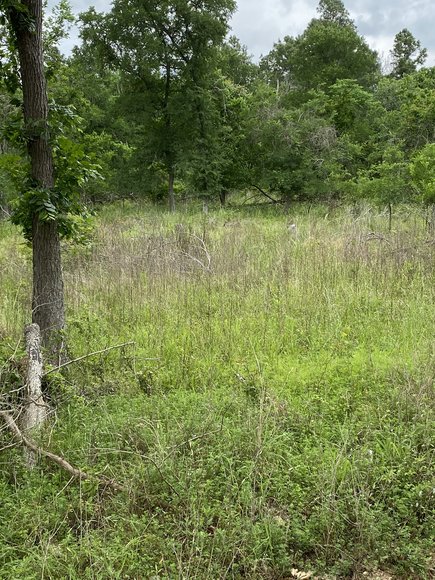 Image for 00 Clear Lake Drive, La Grange, Texas 78945