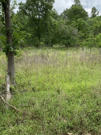 Image for 00 Clear Lake Drive, La Grange, Texas 78945