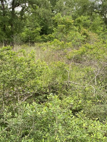 Image for 00 Clear Lake Drive, La Grange, Texas 78945