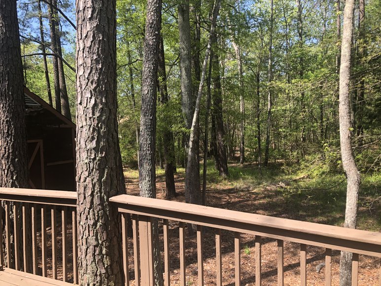 Image for 5 BR / 4 BA Single Family Home - 2,522 ± SF - Cedar Siding - Frederick Farms Subdivision - 4242 Frederick Farms Dr, Midlothian VA 23112